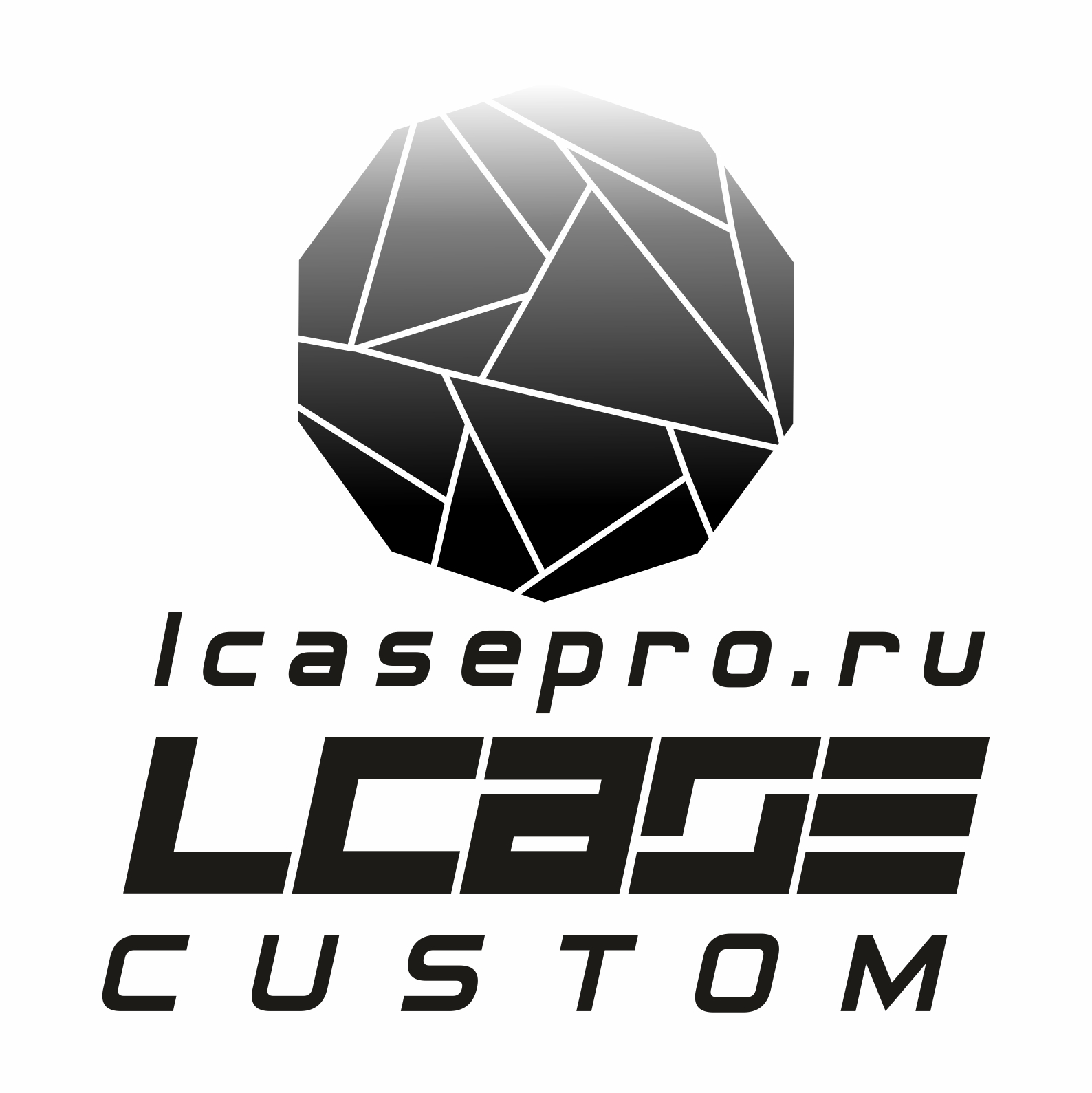 Производитель кейсов «Lcase Custom»