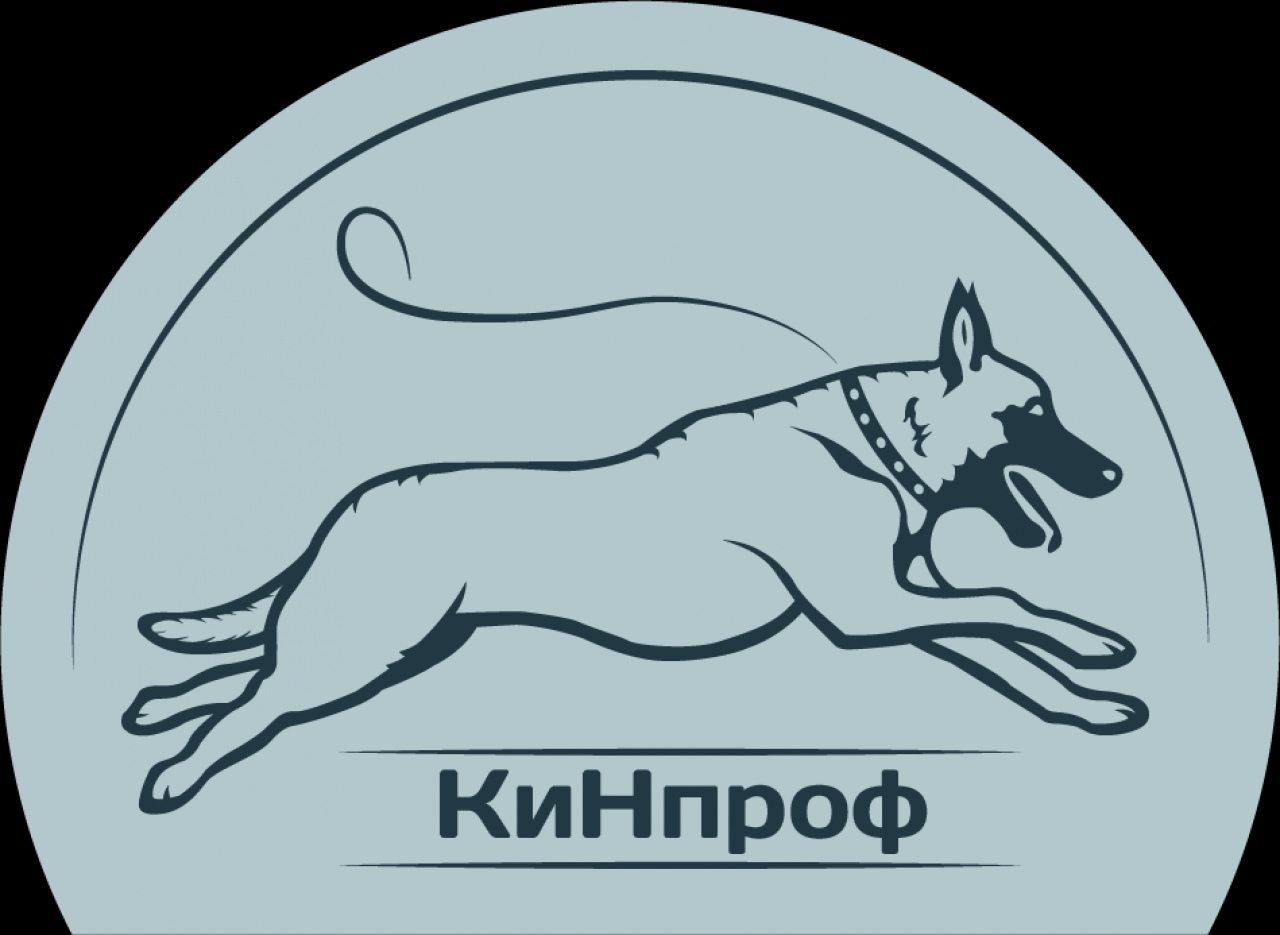 КиНпроф