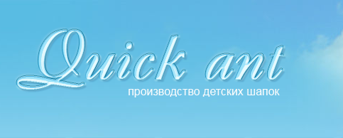 Компания «Quick ant»