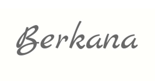 Компания «BERKANA»