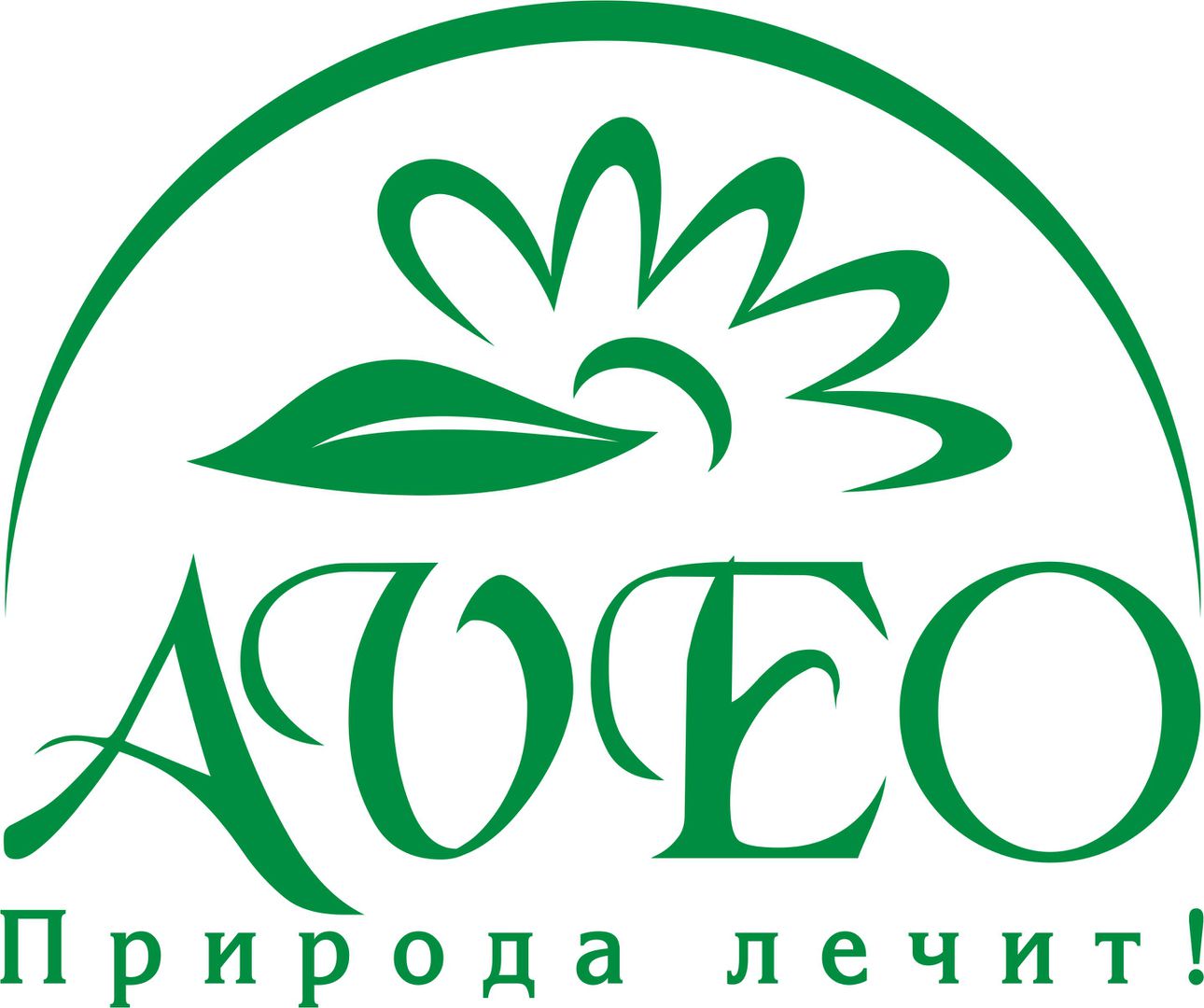 Предприятие «Aveo»