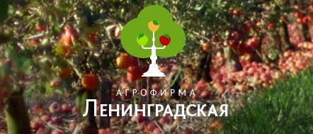 «Агрофирма Ленинградская»