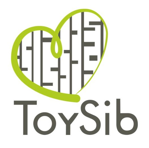 Производитель развивающих игрушек «ToySib»