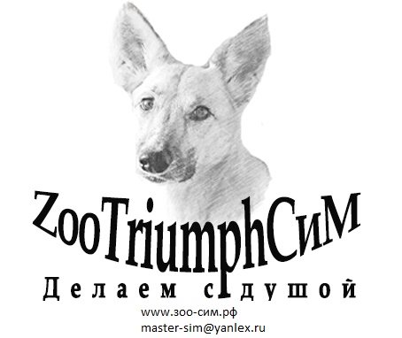 Фабрика амуниции для собак «ZooTriumphСим»