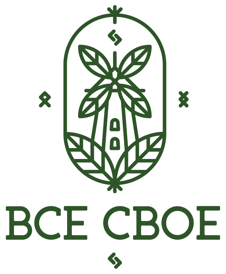 «Всё Своё»