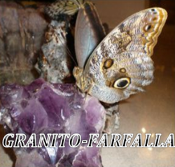 GRANITO-FARFALLA